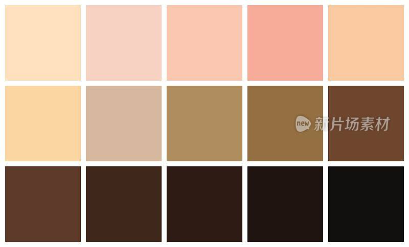 Human skin tones color palette set. Skin color from the lightest to darkest brown hues, coloring of a person face and body complexion. Vector illustration.